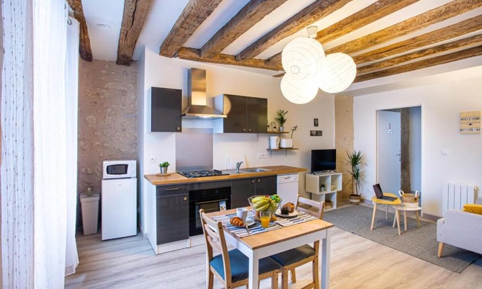 Amboise Apartment | "LE VINCI" Châteaux, Loire & Centre-ville