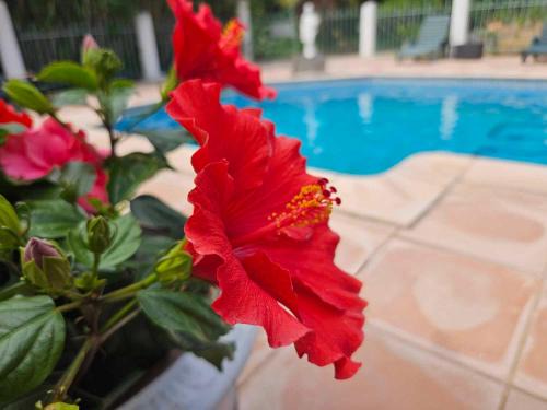 Agde Hotel | Les jardins du Patriarche Hôtel