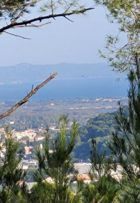 Six-Fours-les-Plages Apartment | les Marronniers