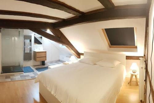 Colmar Centre Ville Apartment | Les Toits de Colmar