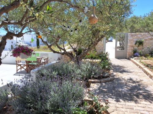Piso Livadi Apartment | LEVANDA PAROS HOUSE