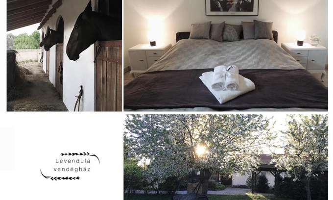 Borsodivanka House | Levendula Vendégház