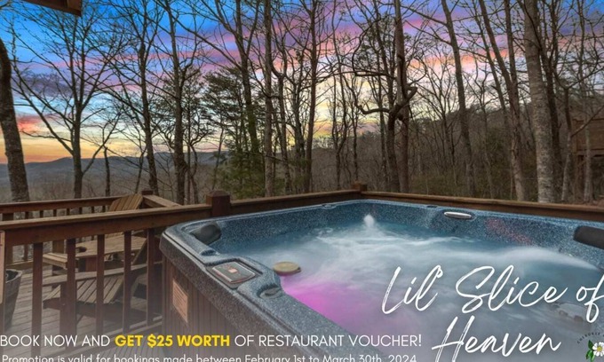 Blue Ridge Cabin | *Lil Slice of Heaven* $$ Views|Couples Retreat