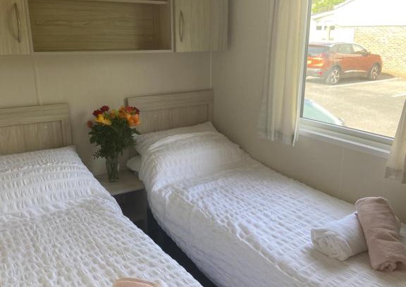 Newquay Other | Lily’s pad