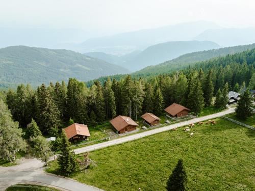 Arriach Ski Chalet | Lima Alpine Lodges - Almhaus Gertraud & Theresia