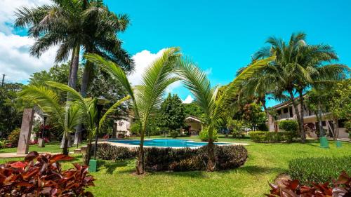 Coco House | Little Dreams Charming Ground Studio
