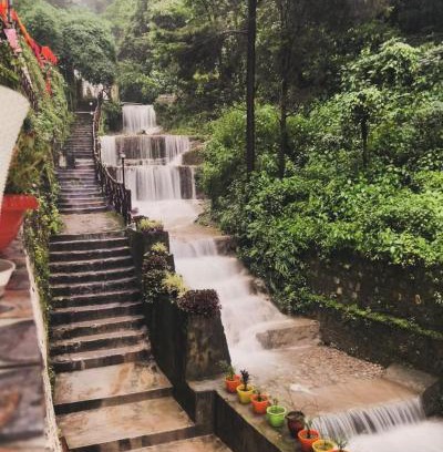 Mussoorie Cabin | Little Heaven - Cabin 1