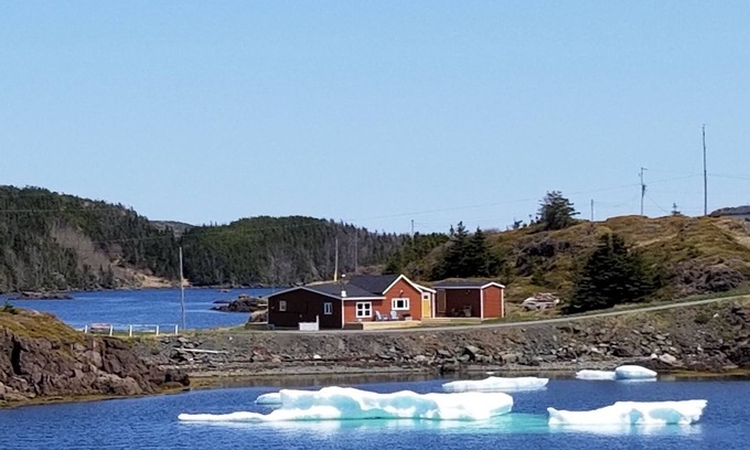 Newfoundland House | Little Pike Summary: