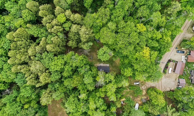 Carp Lake Cabin | Little Red - Charming and Close to Mackinac Island Ferry