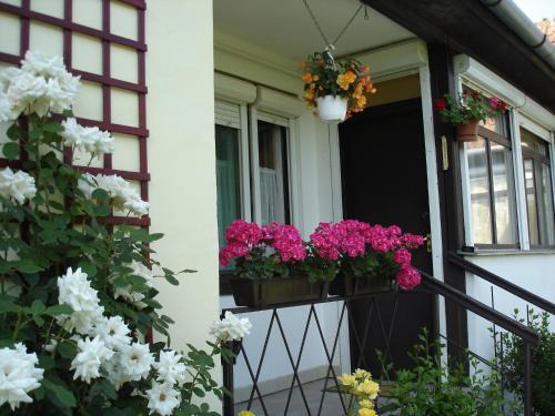 Gyula Apartment | Liza Apartman