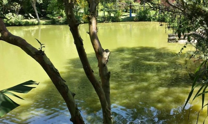 Cotia House | Location for events, churches, social gatherings, weddings, businesses, schools.