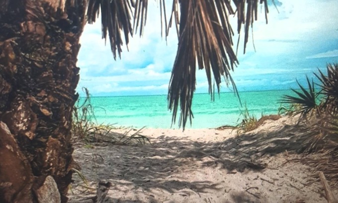 Venice Condo | location, location Dream Vacation on Beautiful Venice Island