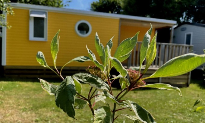 Saint-Lunaire House | Location Mobil Home 2 ch 4 Personnes. La Touesse à Dinard, Plage à 300 Mètres