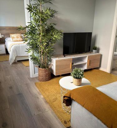 Pontevedra Apartment | Loft Peregrino