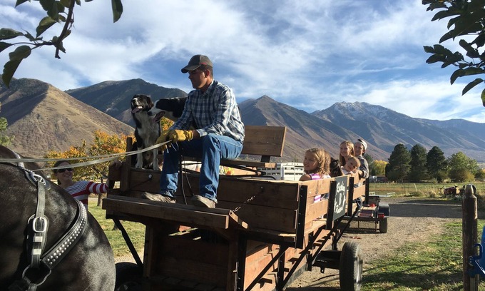 Spanish Fork Cabin | Log Home on 17 acre farm