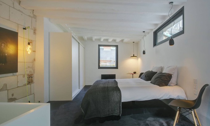 Tours City Centre Apartment | Logement Atypique 200m2 au Calme et Confort en Plein Tours Centre