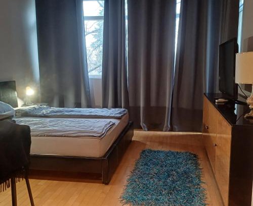 Vozdovac Apartment | Lola 2
