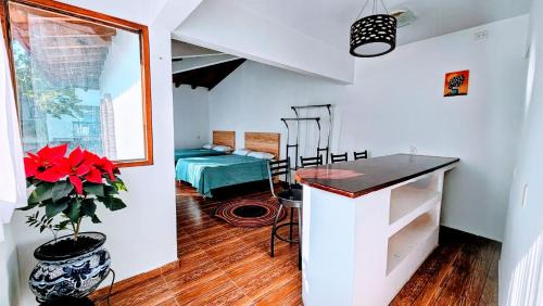 Centro House | Los Temazcales de Xochitepec