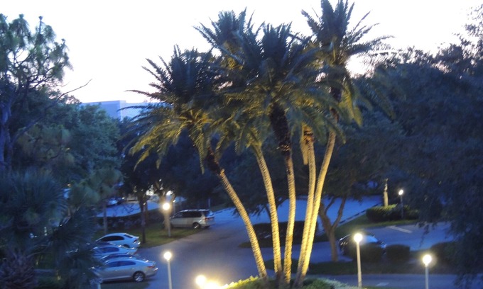 Plantation Condo | Lovely 2-BR Condo w/CC Social Membership