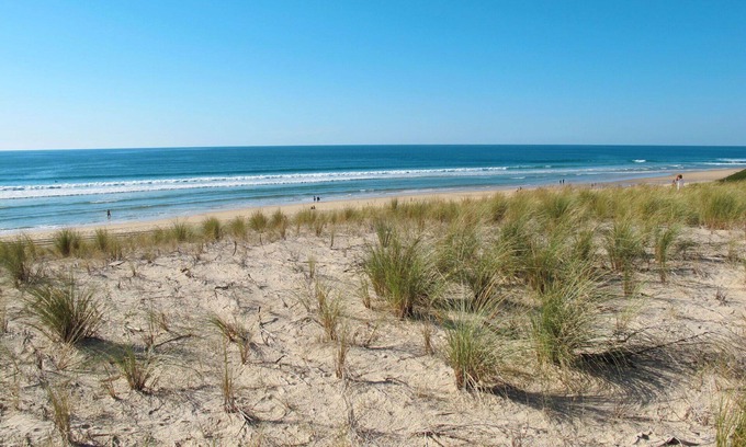 Biscarrosse Plage Apartment | Lovely apartment for 6 guests with WIFI, pool, TV, terrace and pets allowed