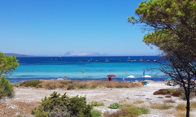 Schifoni Apartment | Lovely apartment for 6 guests with WIFI, A/C, TV, patio and pets allowed