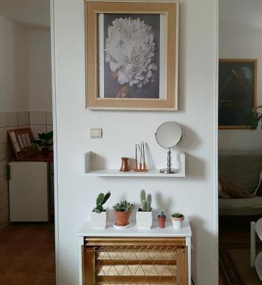 Petrovaradin Apartment | Lovely bright Apartment with Backyard-renovated!