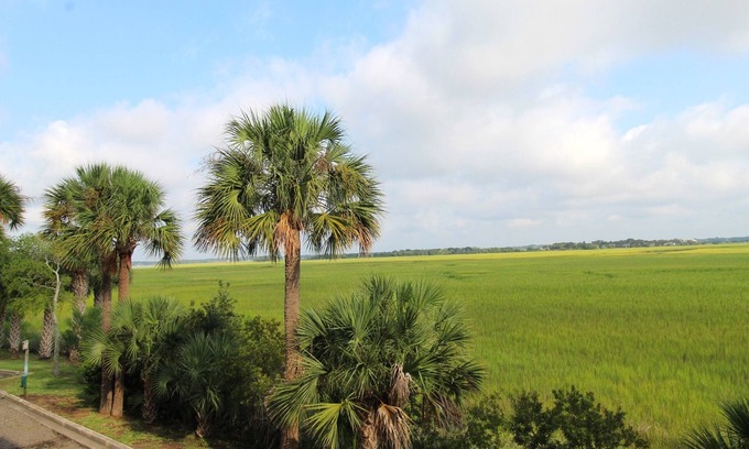 Folly Beach Condo | Lovely Long Term Rental~ Marsh Nest