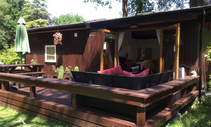 Cenarth Cabin | Lovely pine lodge on woodland conservation site