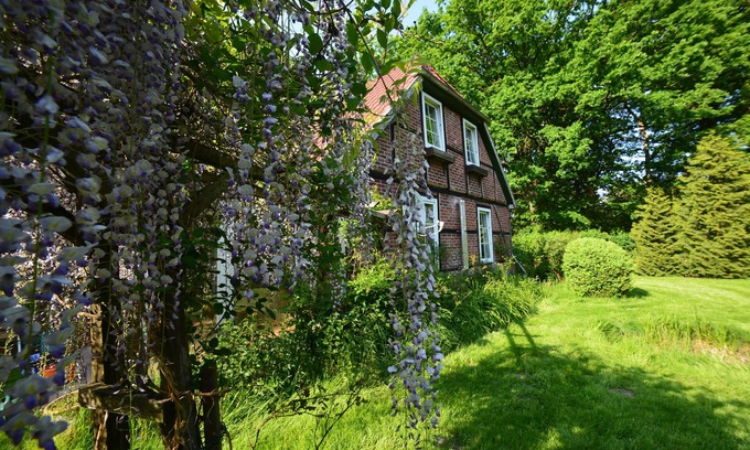 Schneverdingen Other | Lovingly renovated house surrounded by forest and a beautiful garden