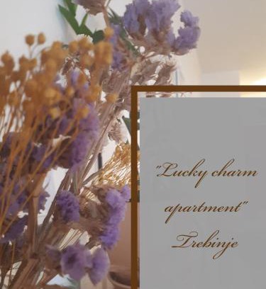 Trebinje Apartment | Lucky Charm studio apartment