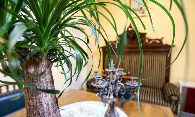Novi Sad Apartment | Luna apartment