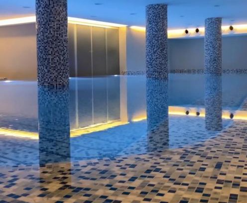 Vrnjacka Banja Apartment | Lux Pegaz 008