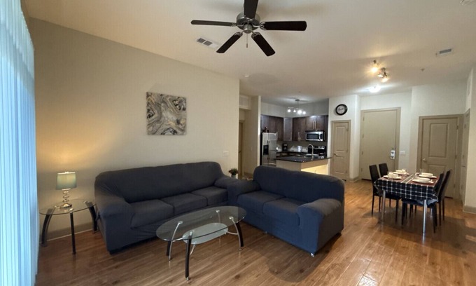 Astrodome Apartment | Luxurious Apartment near Texas Medical Center