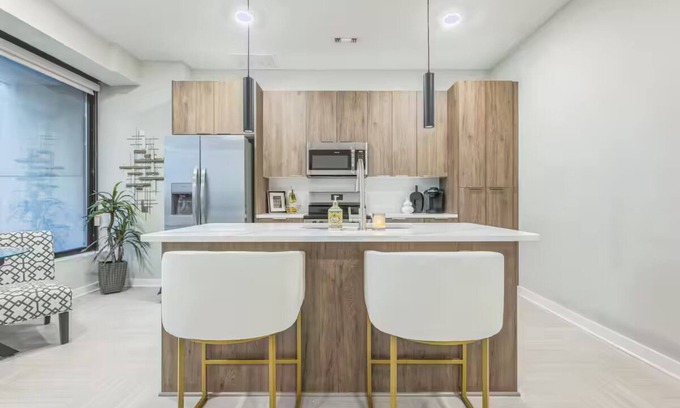 Civil Rights Historic District Apartment | Luxurious Downtown Stay Skyline Views + Wi-Fi