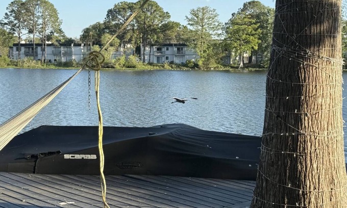 Bearss Plaza House | Luxury 5-Bedroom Waterfront Oasis w/Pool, Dock & Views