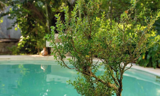 Zona Hotelera Norte Villa | Luxury Villa in Cozumel with Pool