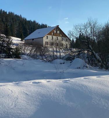 La Bresse Ski Chalet | Lysgaardcottage 360 sauna spa bar Dancing 25V