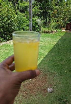 Palindanuwara Apartment | Madu's Mountain View Home