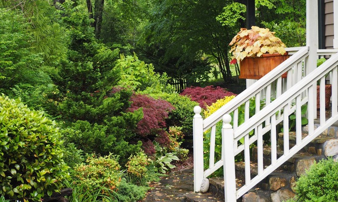 Otto Cottage | Magical Mountain Cottage