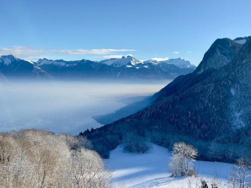 Thollon-les-Memises House | Magnifique Chalet Panorama ALPENGRUSS