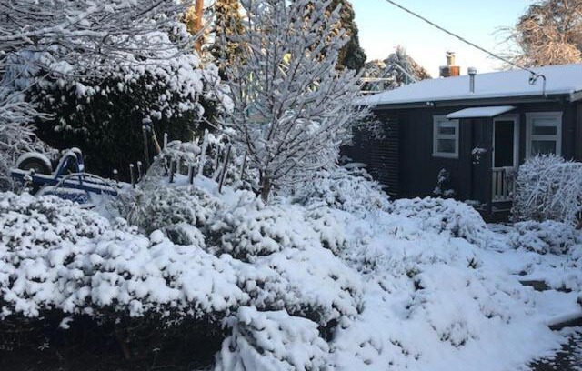 Mount Victoria House | Maisie's Cottage
