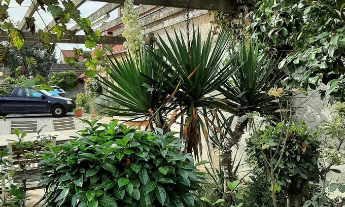 Germigny-des-Pres Bed & Breakfast | Maison Cerviña