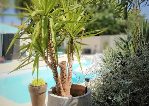 Boujan-sur-Libron Apartment | Majopau
