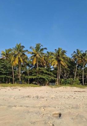 Alappuzha House | Marari Beach Bamboo Rooms AcroYogaThai