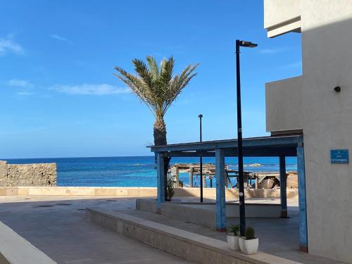 Es Pujols Apartment | MARINE APARTMENT