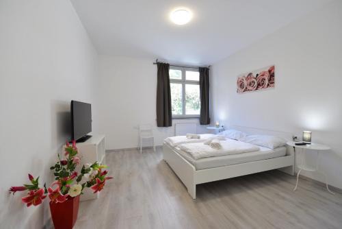 Centro - Piani - Rencio Apartment | Mary's Rooms & Apartments