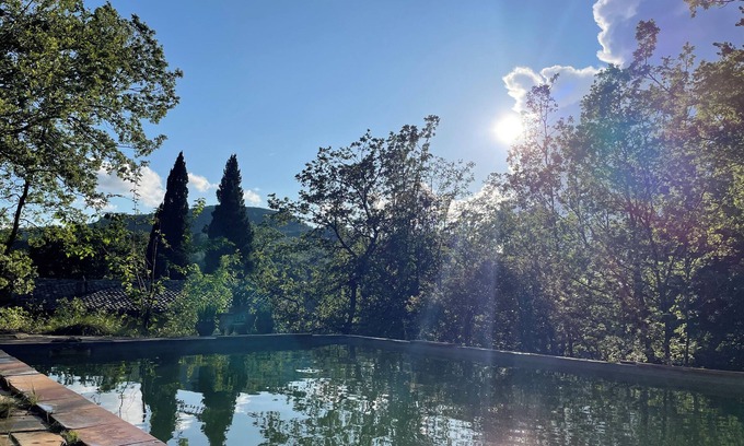 Brignoles Other | Mas Provençal et Forêt Privée en Provence Verte