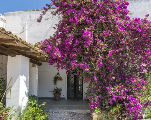 Torre Santa Susanna House | Masseria Bellamarina