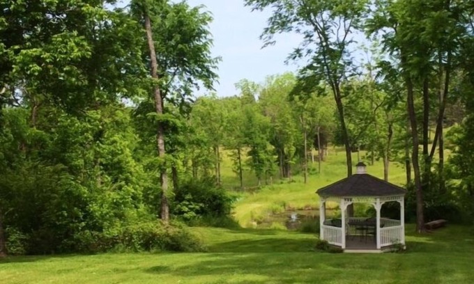 Buckingham House | Maysville Manor Bed & Breakfast