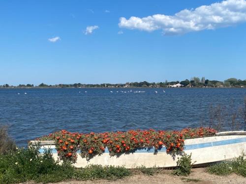 Marseillan House | Mazet NiMiSa